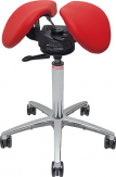 Professional chair Salli Swing Fit